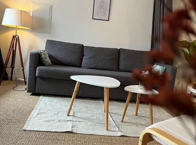 Loft Cosy - Centre Historique Climatise Revel (Haute-Garonne)