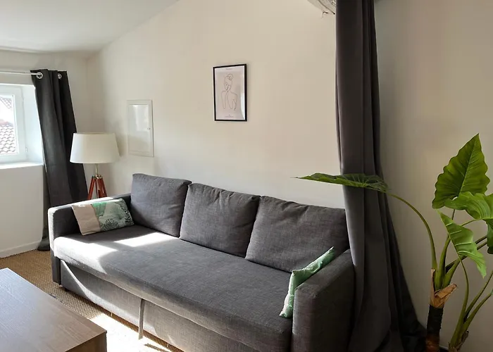 Loft Cosy - Centre Historique Climatise Apartament