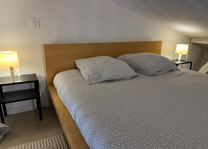 Apartament Loft Cosy - Centre Historique Climatise *